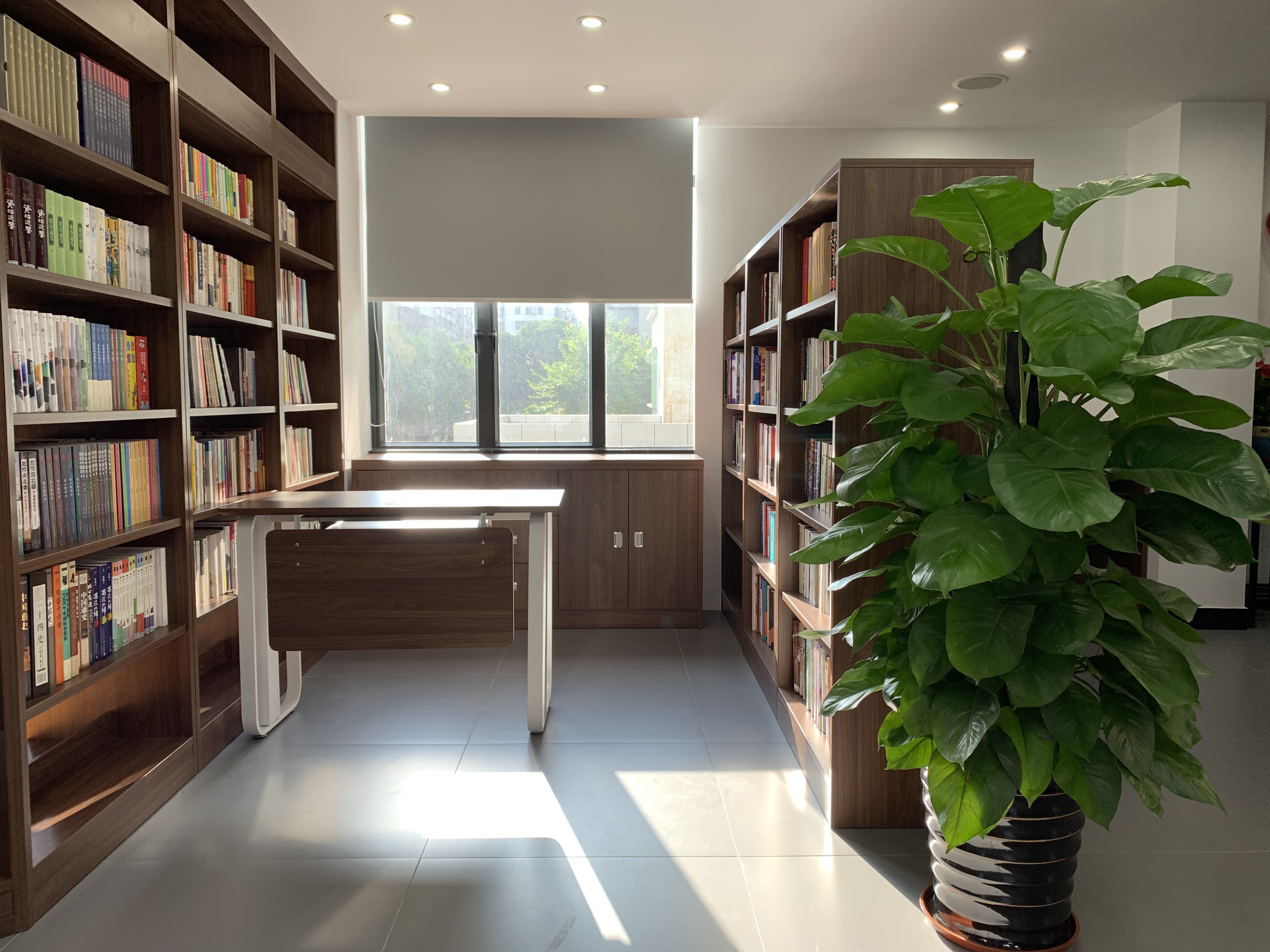 Книжный шкаф